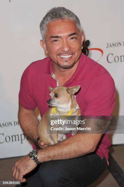 Cesar Millan attends the Jason Debus Heigl Foundation's Compassion Revolution press conference on September 23, 2010 in Los Angeles, California.