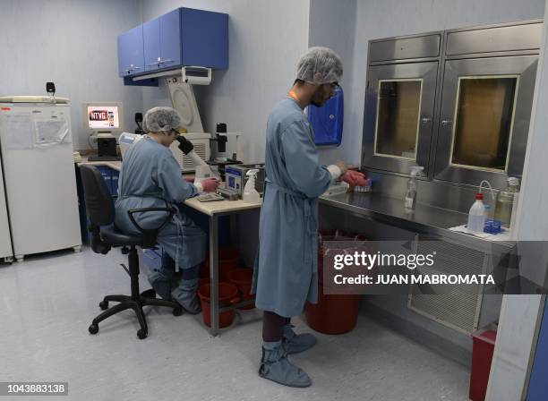 Level Ii Laboratory 116 Biosafety Level 2 Laboratory Stock Photos, High-Res Pictures, and ...