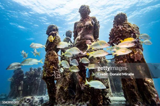 School of fish swims past the underwater statues at MUSA off the coast of Isla Mujeres, Mexico on September 26, 2018. Consisting of over 500...