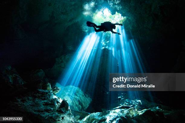 Scuba diver swims through rays of light coming into a massive underground, underwater cave in the Cenote Taj Maha in Quintana Roo, Mexico on...