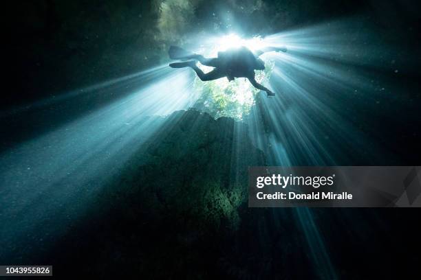 Scuba diver swims through rays of light coming into a massive underground, underwater cave in the Cenote Taj Maha in Quintana Roo, Mexico on...