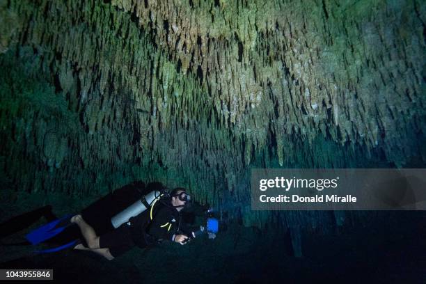 Scuba diver swims under stalactites in a massive underground, underwater cave in the Cenote Taj Maha in Quintana Roo, Mexico on September 27, 2018....