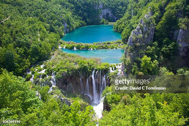 kaluderovac lake and falls, plitvice np, croatia - parco nazionale foto e immagini stock