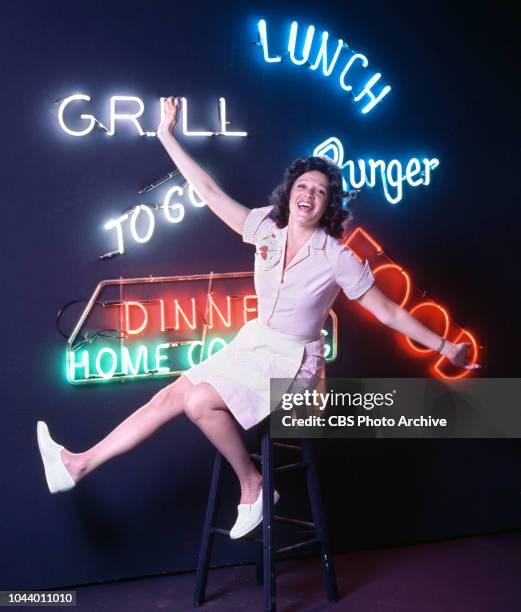 Cbs Alice 53 Linda Lavin Alice Stock Photos, High-Res Pictures, and Images ...