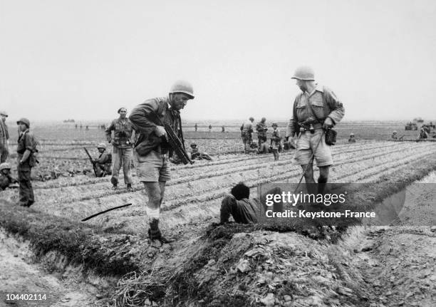 Officers of the first regiment capturing a Viet Minh soldier as a part of the operation to clean out the southeastern region of the Tonkin delta. The...