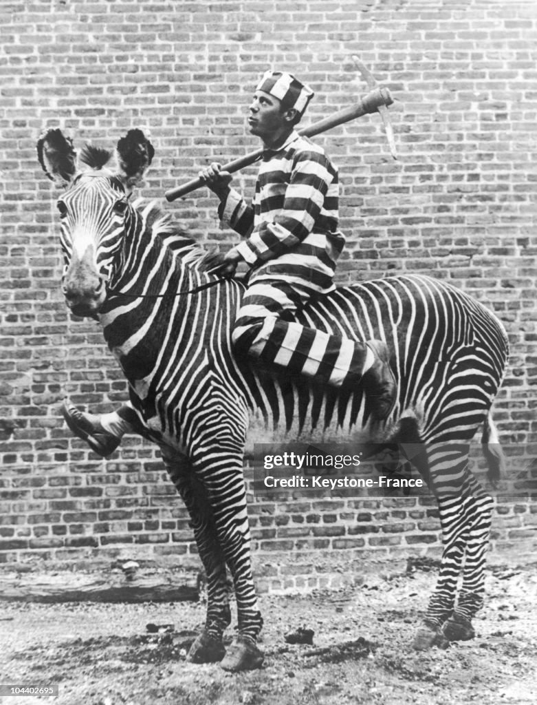 Curiosity: A Striped Composition