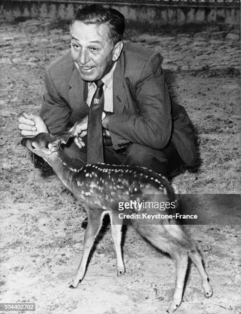 At the Berlin Zoo on July 2 Walt DISNEY met the fawn that served him as a model for the character BAMBI.