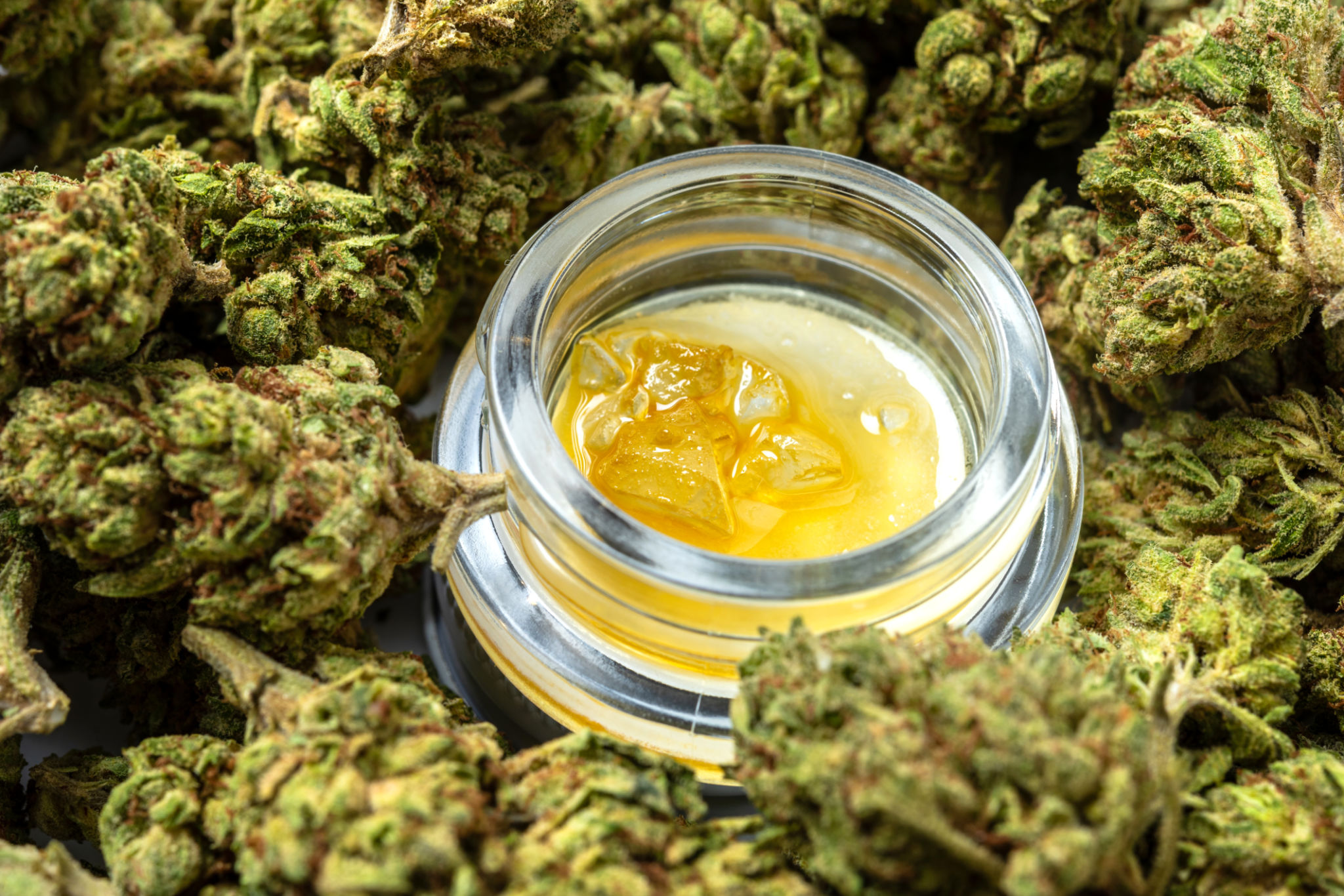 cannabis concentrates