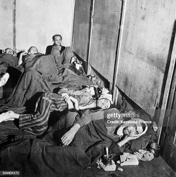 Illustration of the daily life of men in the barracks of Bergen-Belsen death camp, Germany. The prisoners were locked up, weakened and made thinner....