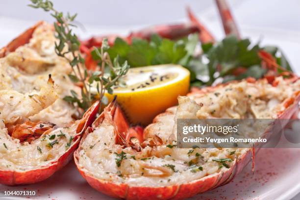 tasty lobster - lobster dinner stock pictures, royalty-free photos & images