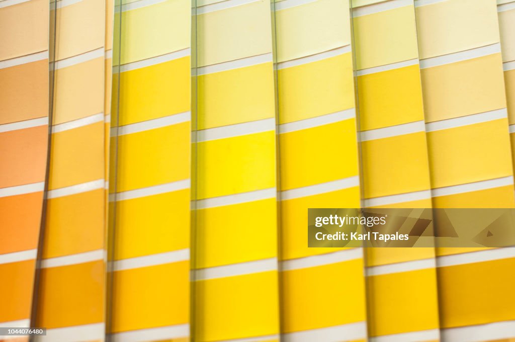 Yellow and brown color palette