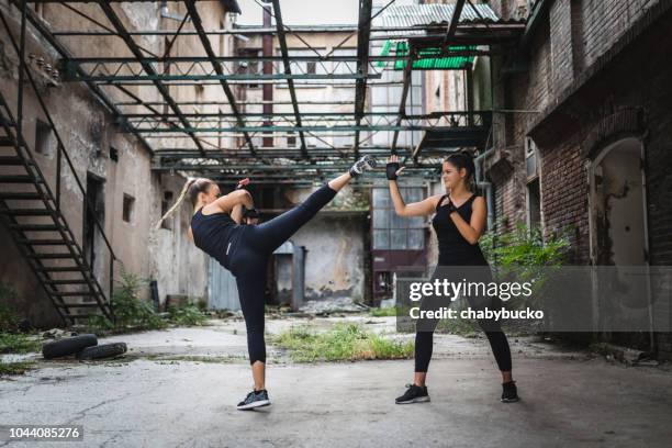 sportswomen exercise martial arts - mixed martial arts woman stock pictures, royalty-free photos & images