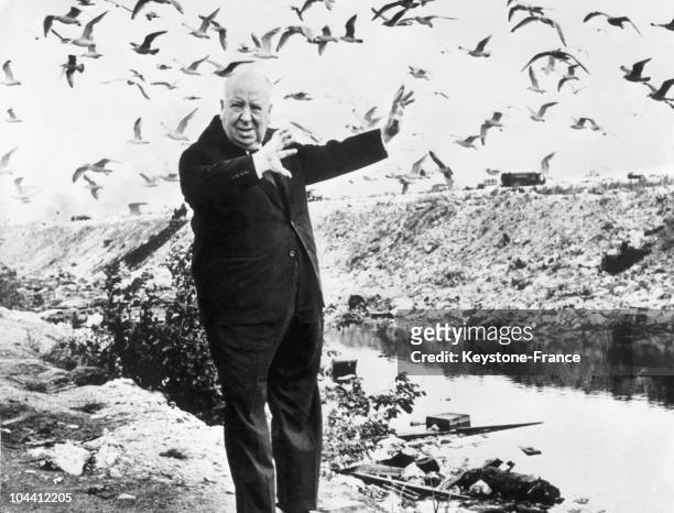 The film-maker Alfred HITCHCOCK surrounded by birds on a beach in Denmark on October 2, 1966.