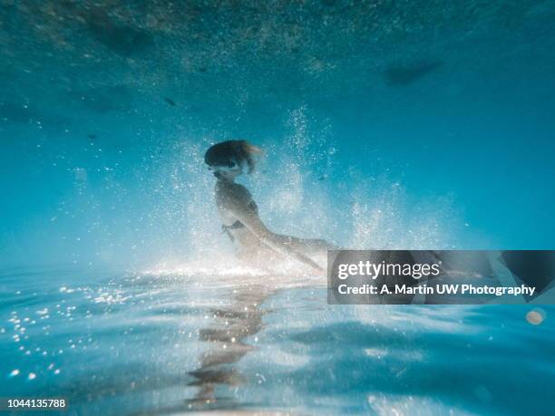 free diving - woman diving underwater stock pictures, royalty-free photos & images
