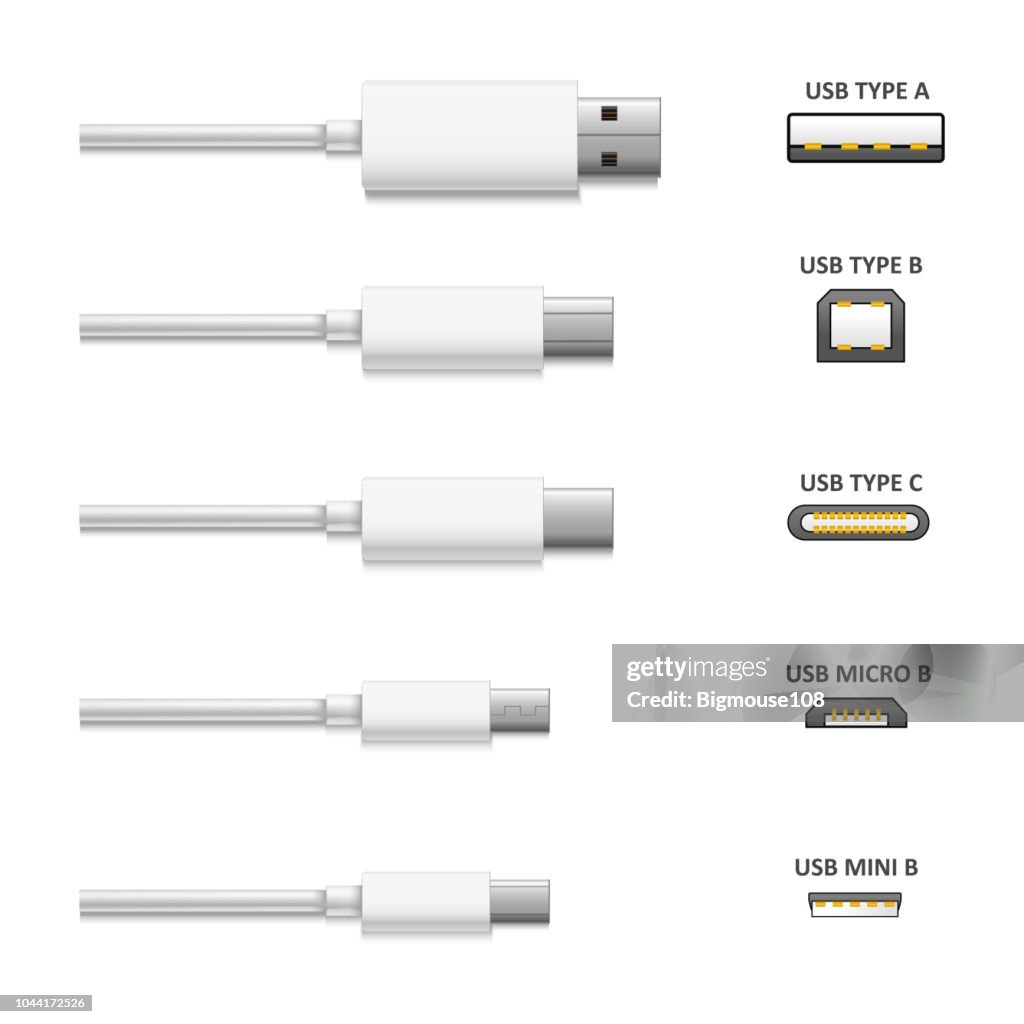 Realistic Detailed 3d White Usb Types Set Vector High-Res Vector ...