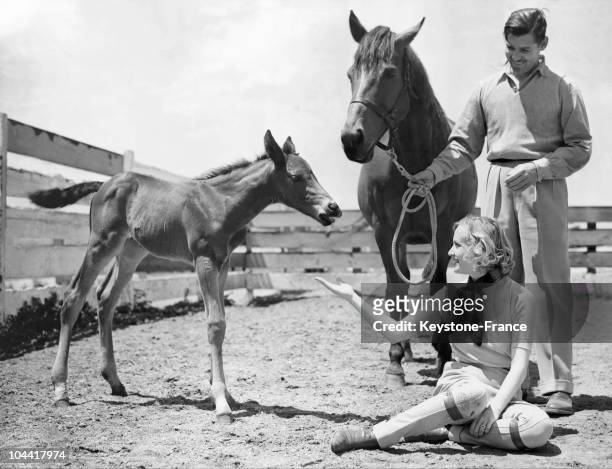 Clark GABLE and his wife Carole LOMBARD on their Hollywood ranch with their horses on April 5, 1938.