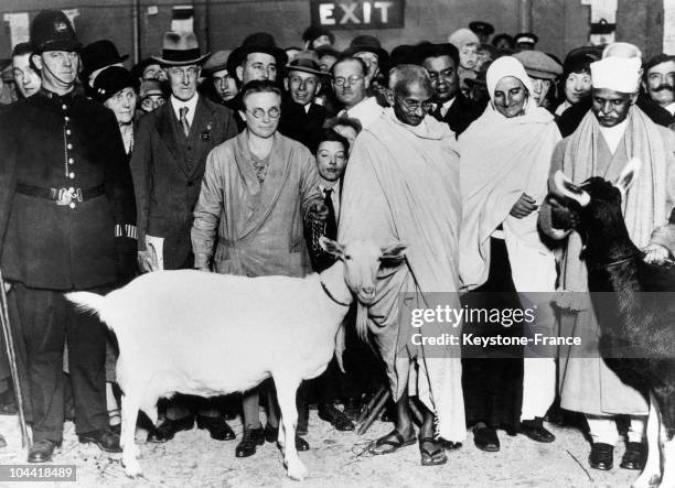 The Mahatma Gandhi Visiting A Dairy At The Agricultural Fair In Islington, England, On October 23 During The Round Table Conference. On His Right,...