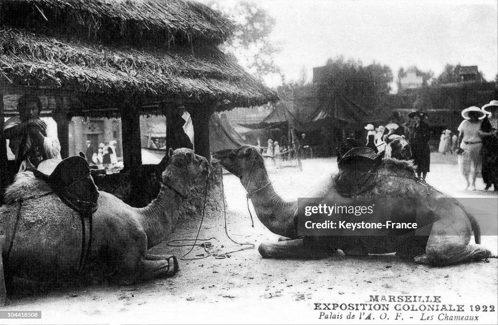 Colonial Exhibition In Marseille In 1922