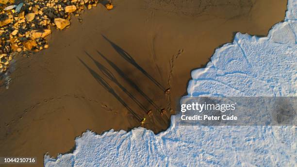 four men stood on sand looking at surf - beach sand stock pictures, royalty-free photos & images