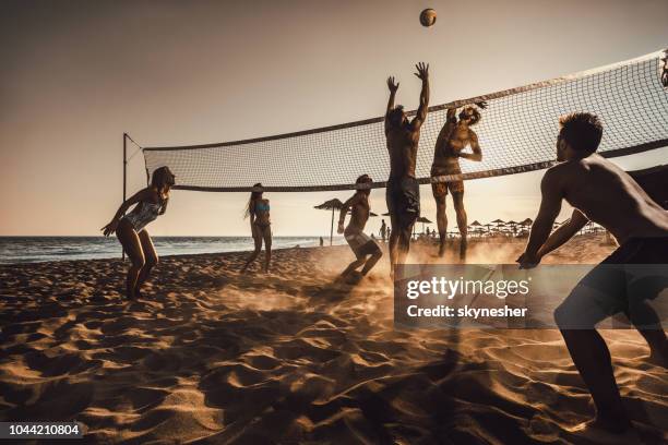 large group of friends playing beach volleyball at sunset. - candid volleyball stock pictures, royalty-free photos & images