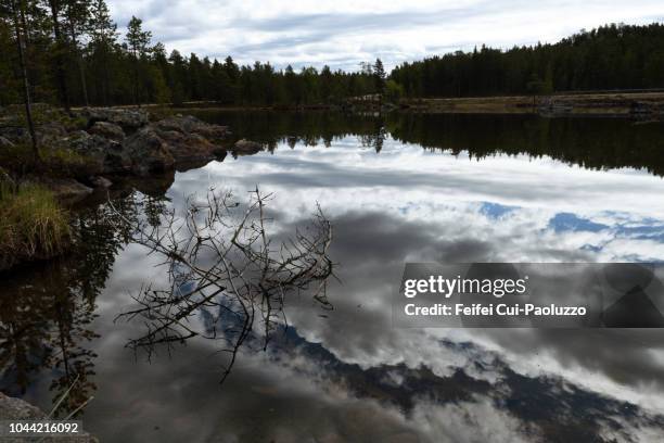 lake view near inari, finland - inari finland bildbanksfoton och bilder