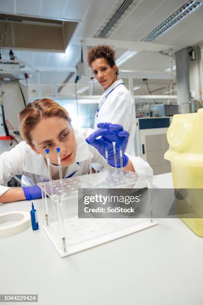 Handling Lab Sample 118 Sample Handling Stock Photos, High-Res Pictures, and Images - Getty ...