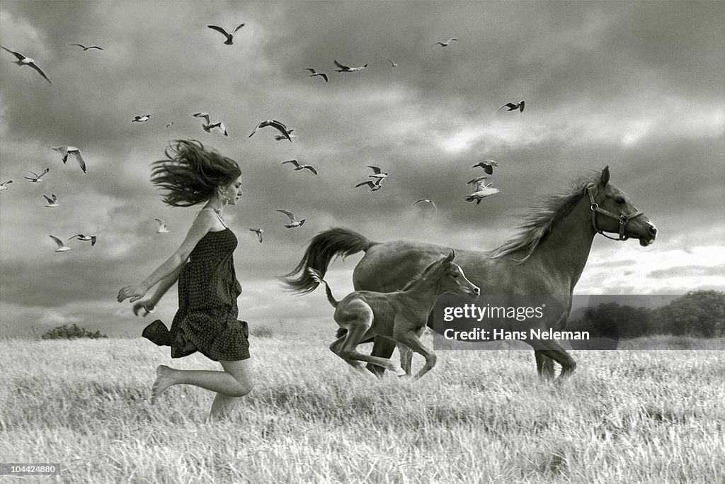 Woman running with horses in a field, Republic of Ireland