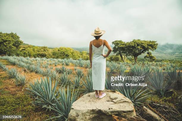 vrouw reizen in mexico - tulum mexico stockfoto's en -beelden