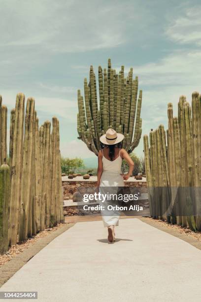 vrouw reizen in mexico - agave plant stockfoto's en -beelden