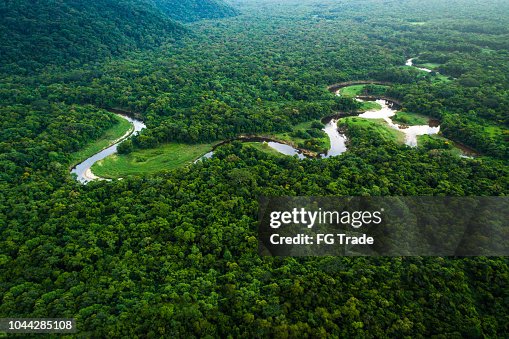 Bosque Atlántico en Brasil, Mata Atlántica Bosque Atlántico en Brasil, Mata Atlántica