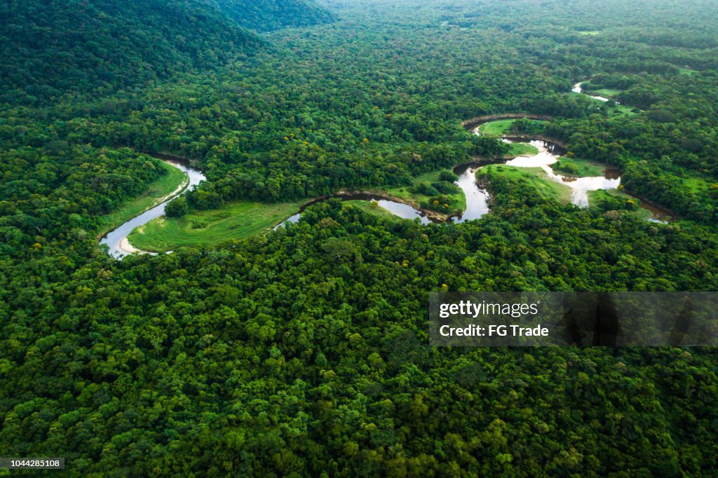 Atlantic Forest in Brazil, Mata Atlantica