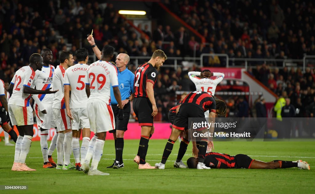 AFC Bournemouth v Crystal Palace - Premier League