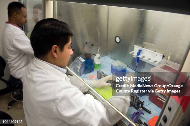 Genetic Molecular Biology trainee Sirak Yosief, left, and Labratory Associate Ben Moreno prepare blood samples for DNA isolation at Ambry Genetics in...