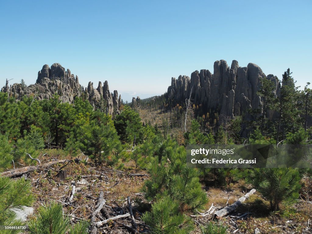 Image Little Devils Rake Cathedral Spires Seen From Little Devils Tower Trail South Dakota High ...