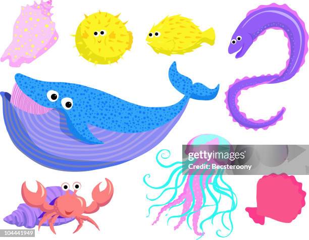 sea creatures set 1 - hermit crab stock illustrations