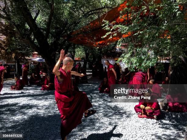 Tibetan monks are debating in Sera Monastery. Debating is a traditional learning method in Tibetan Buddhism. Young monks study Buddhist classics...