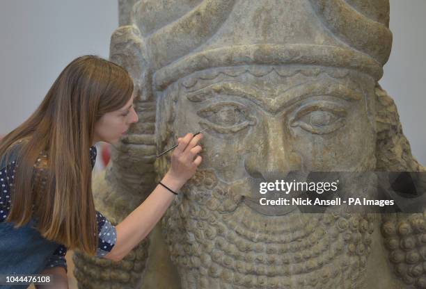 British Museum stone conservator Kasia Weglowska, prepares a head of an Assyrian winged bull, from the palace of Ashurbanipal's father, Esarhaddon,...