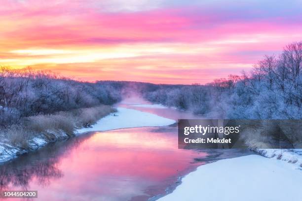 the winter landscape in kushiro, hokkaido, japan - étendue sauvage scène non urbaine photos et images de collection