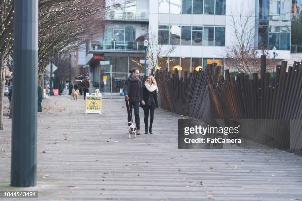 millennial couple walking their dog in the downtown district - portland oregon christmas stock pictures, royalty-free photos & images