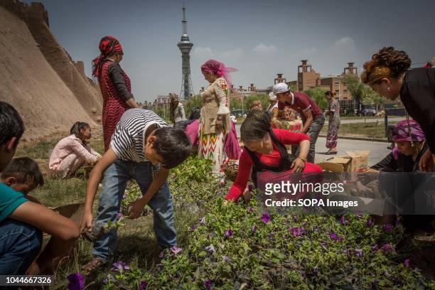 Uyghur women seen planting flowers near the entrance of the Kashgar old town, northwestern Xinjiang Uyghur Autonomous Region in China. Kashgar is...