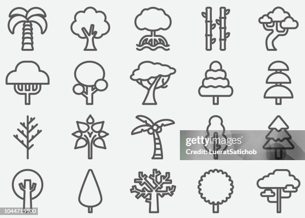 ilustrações, clipart, desenhos animados e ícones de árvore forma linha ícones - bonsai tree