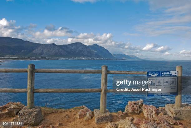 hermanus view point for whales walker bay, hermanus, south africa - hermanus stock pictures, royalty-free photos & images