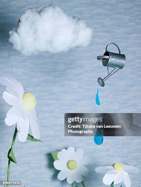 watering can - watering can stock-grafiken, -clipart, -cartoons und -symbole