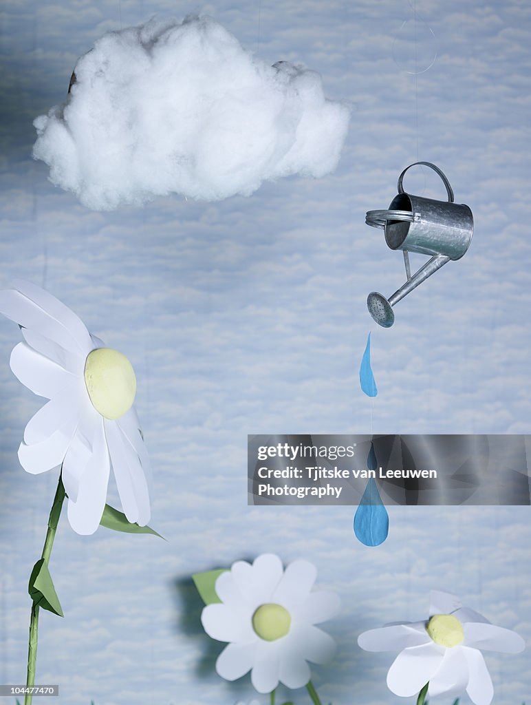 Watering Can