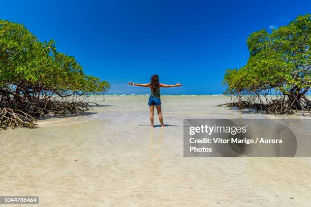 rear view of young woman standing with open arms next to mangrove trees on tropical beach in morro de sao paulo, south bahia state, brazil - bahia state - fotografias e filmes do acervo
