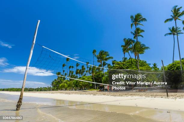 photograph of volleyball net in tropical beach on morro de sao paulo, south bahia state, brazil - bahia state - fotografias e filmes do acervo