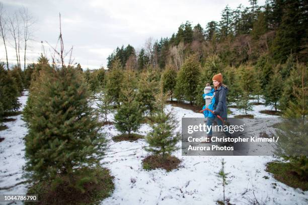 mother with baby in carrier and holding saw at christmas tree farm, langley, british columbia, canada - langley british columbia stock-fotos und bilder