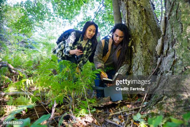 geocaching.  a millennial couple out geocaching in the woods - geocaching stock pictures, royalty-free photos & images