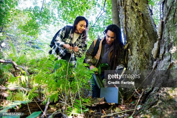 geocaching.  a millennial couple out geocaching in the woods - geocaching stock pictures, royalty-free photos & images