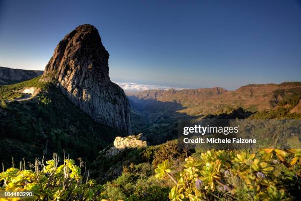 landscape in garajonay national park, la gomera - gomera bildbanksfoton och bilder